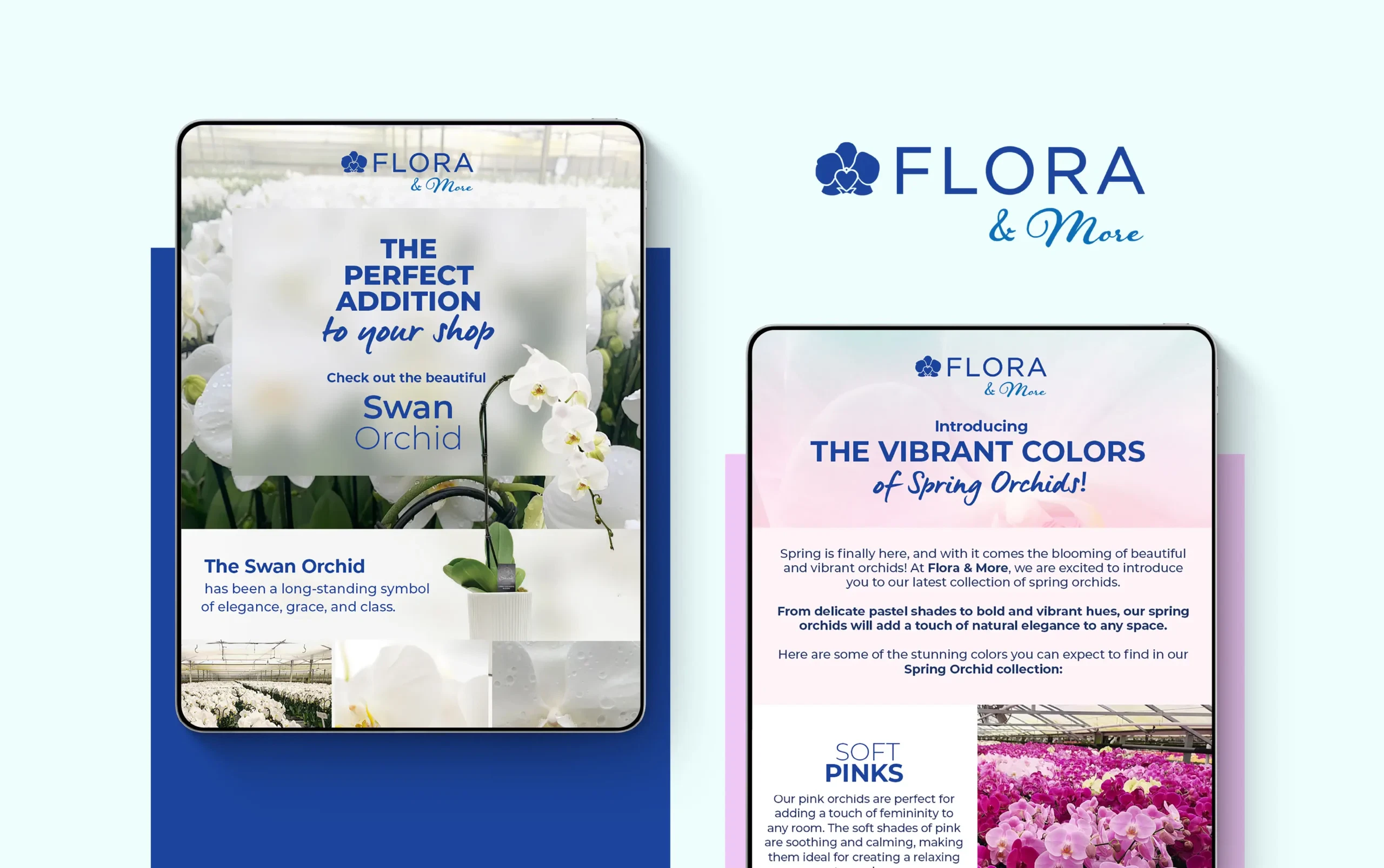 Floral brochure showcasing vibrant swan orchids with a focus on spring colors by Flora & More.