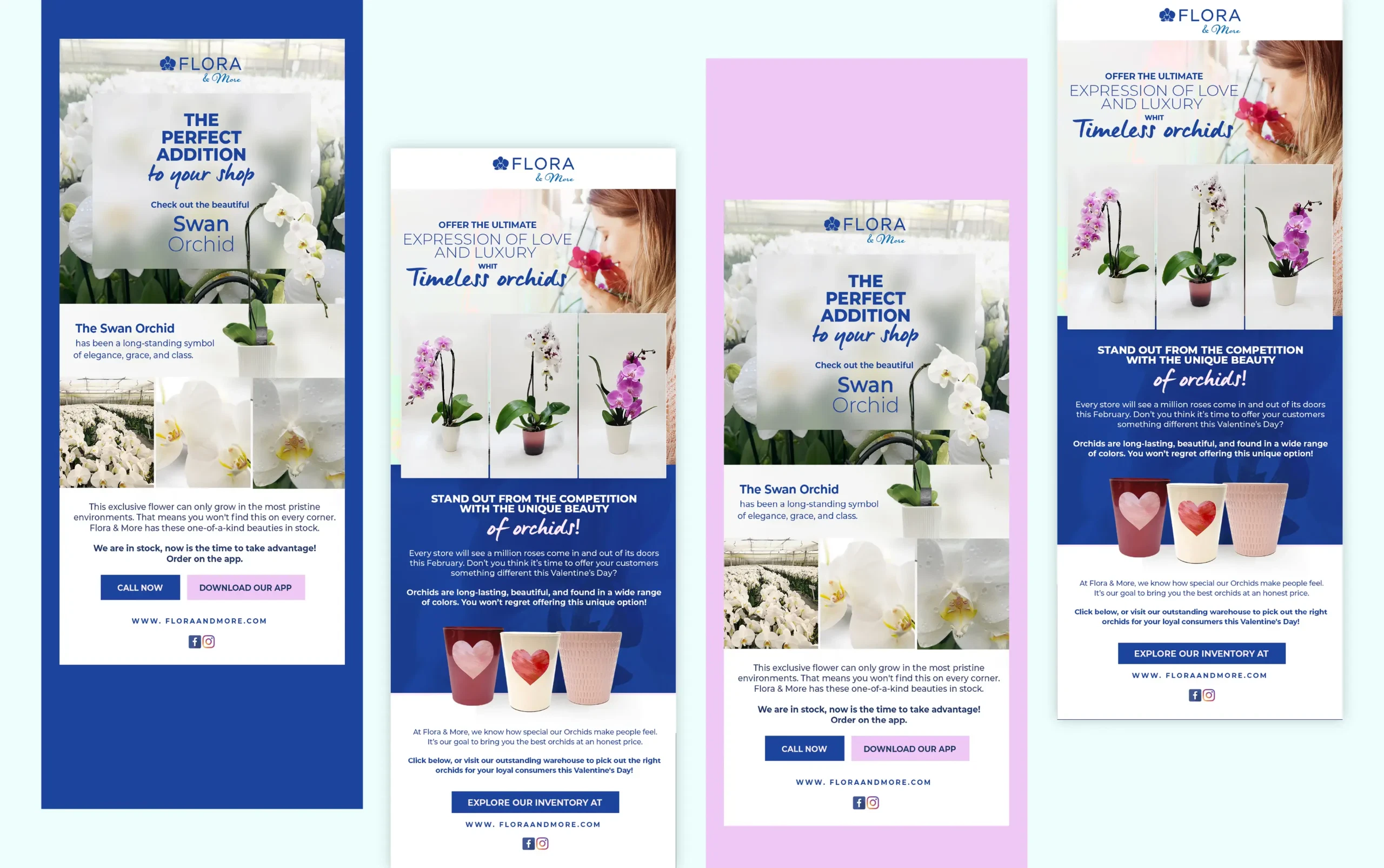 Floral design advertisement with orchids and bouquets, featuring elegant product layouts against a blue and white background.