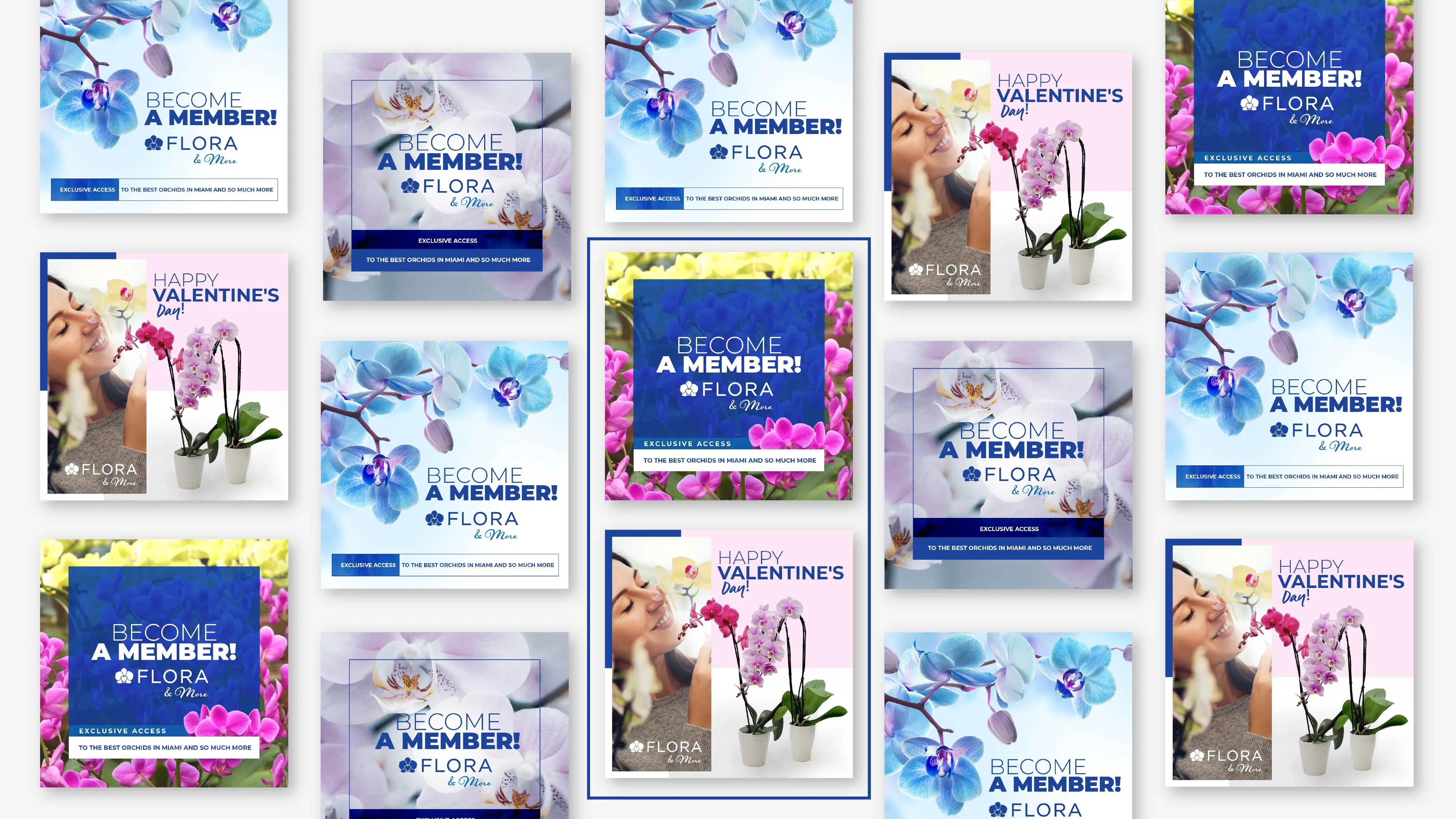 Various floral-themed posters with vibrant blues and pinks, featuring orchids and membership invitations.