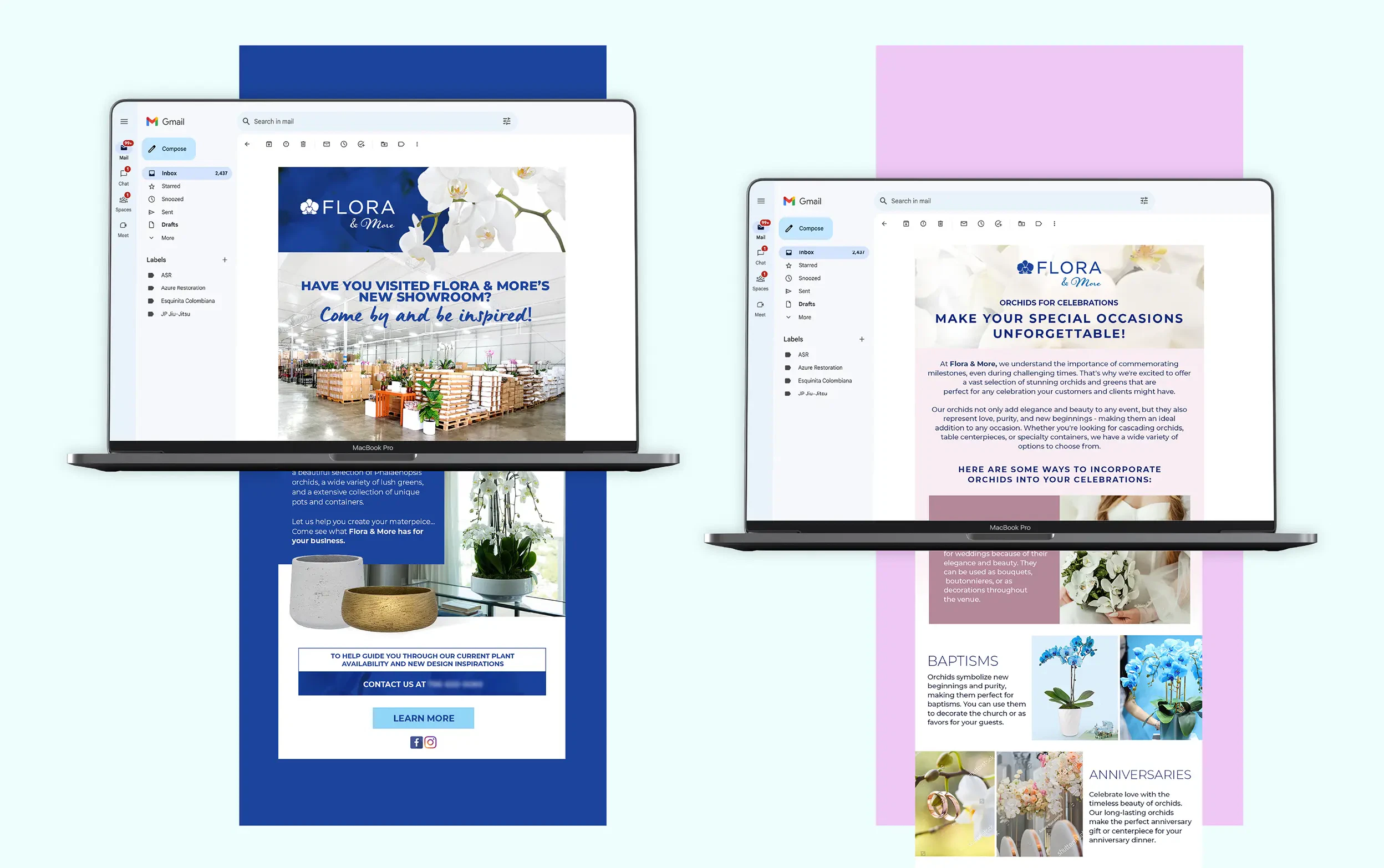 Digital layouts showcasing professional newsletter and email designs with vibrant floral themes.