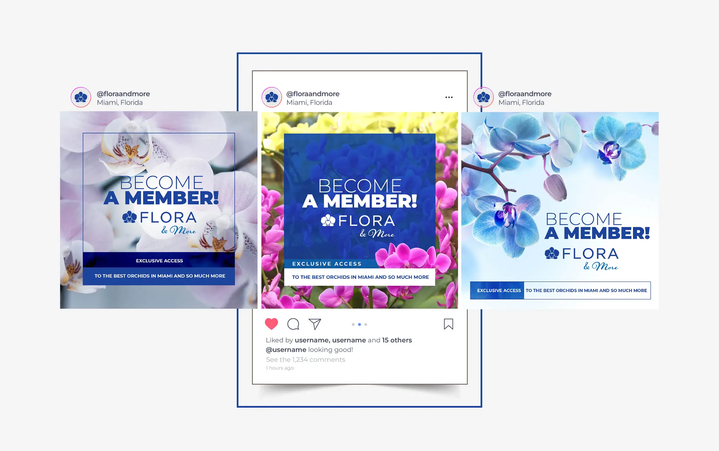 Floral-themed membership promotion with vibrant orchids and enticing text.