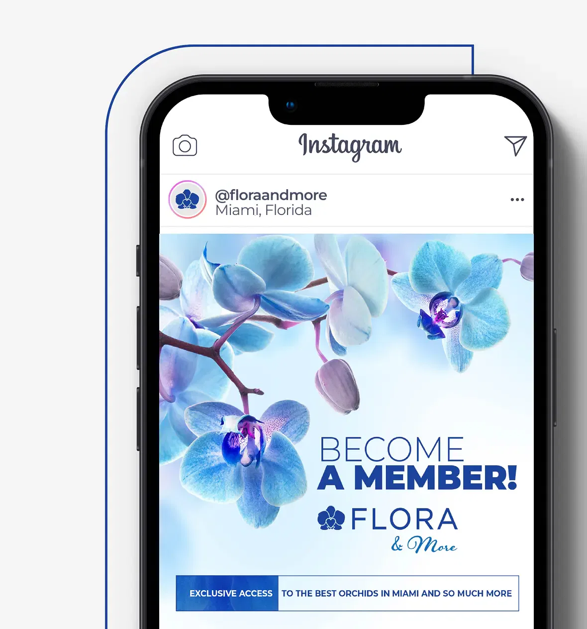 Instagram post from Flora & More showcasing vibrant blue orchids and a call to become a member.